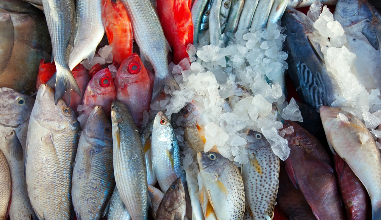 Pescadería Xoubiñas Maside