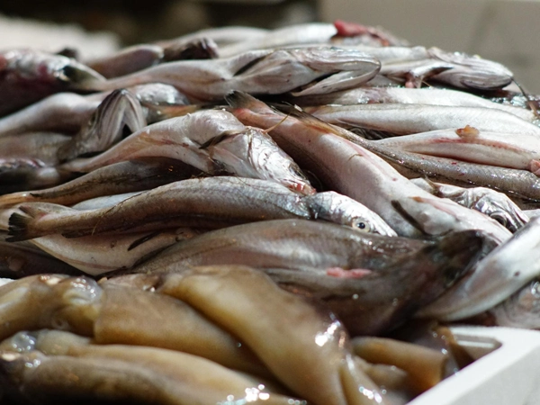 Pescadería Xoubiñas Maside